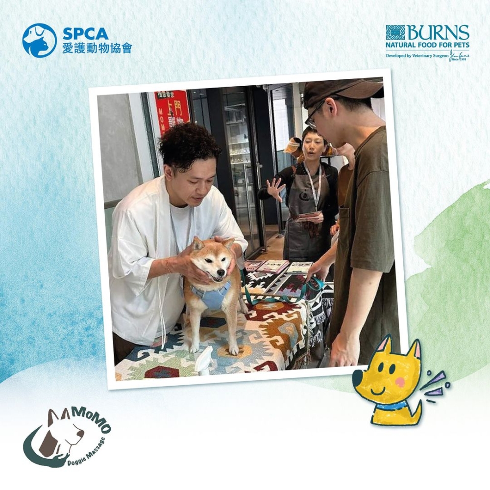 寵物按摩