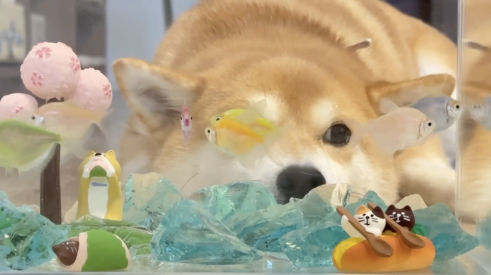 奴才：數清楚了嗎？