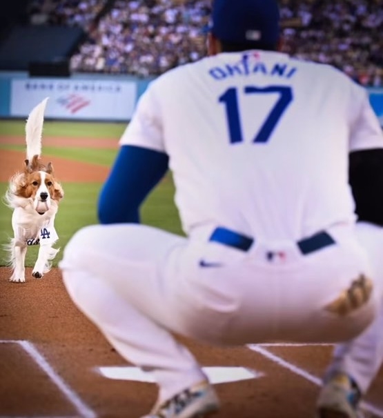 球迷們對這場別具創意的儀式反應熱烈