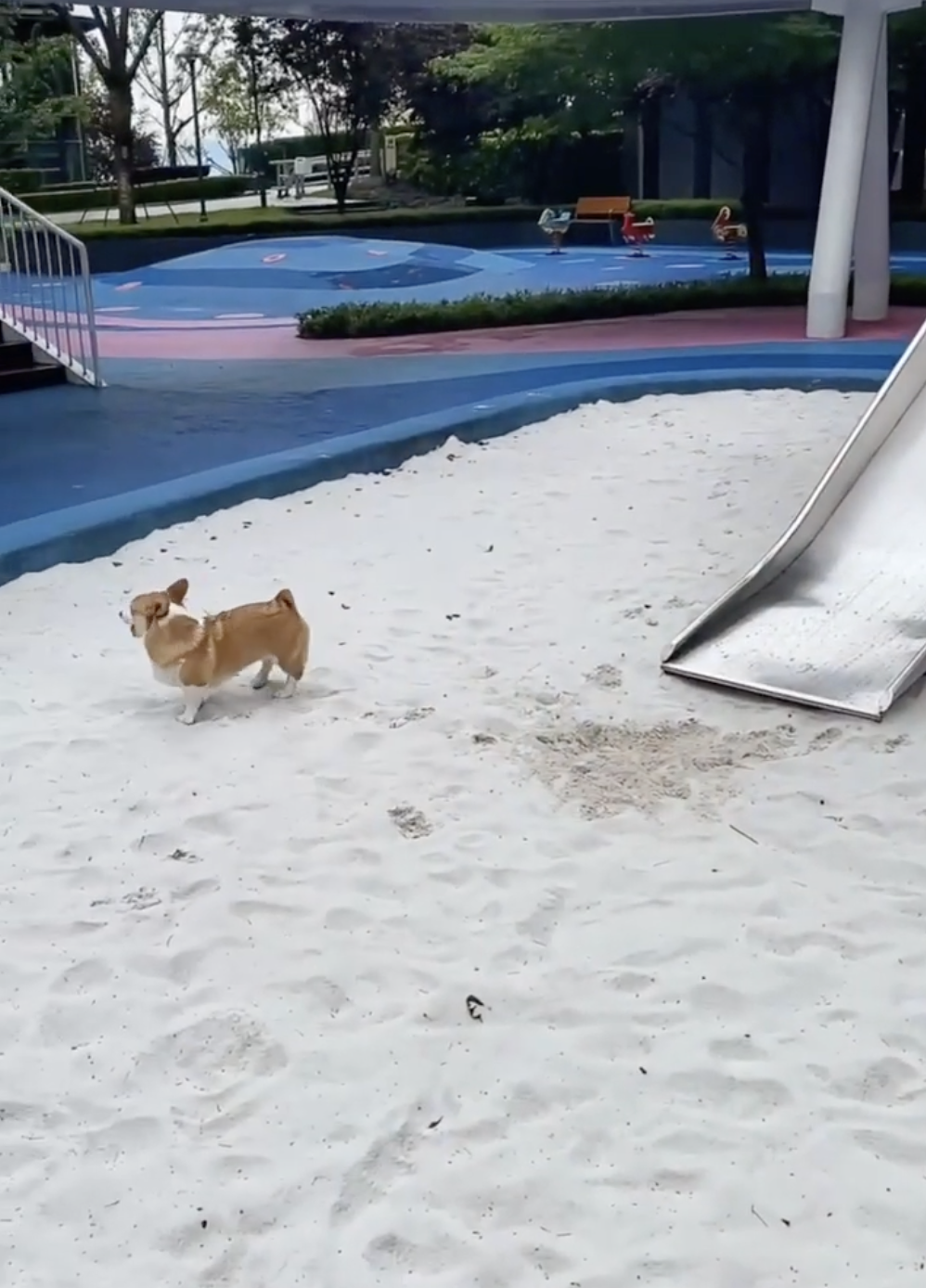 奴才：沒摔傷吧？