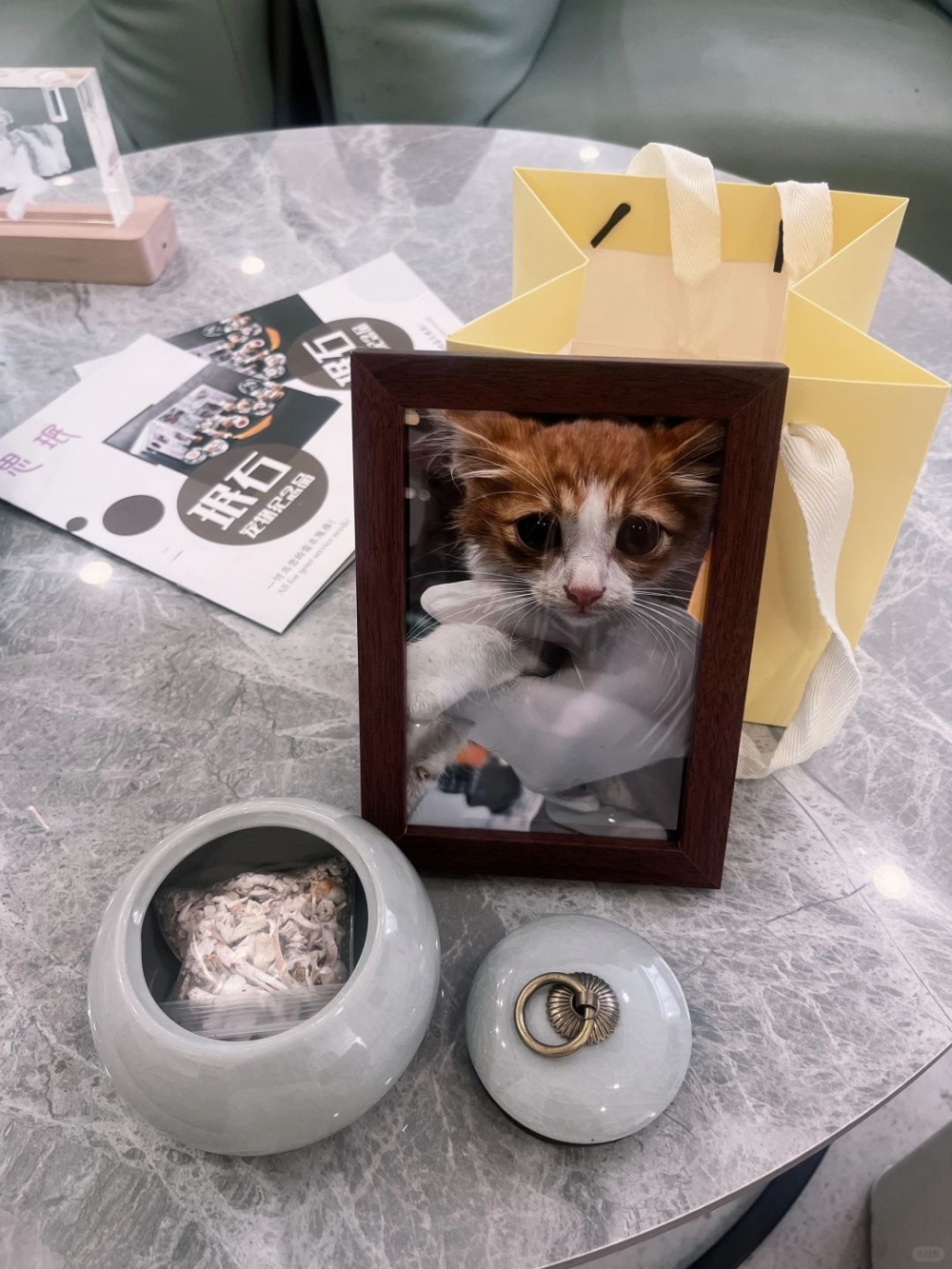 每一次告別，都是在提醒我們更珍惜那些仍然陪伴在我們身邊的人和動物～