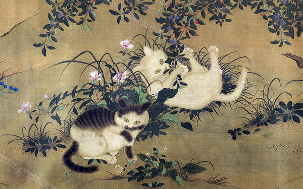 貓咪入室後,還有一系列儀式等著牠!