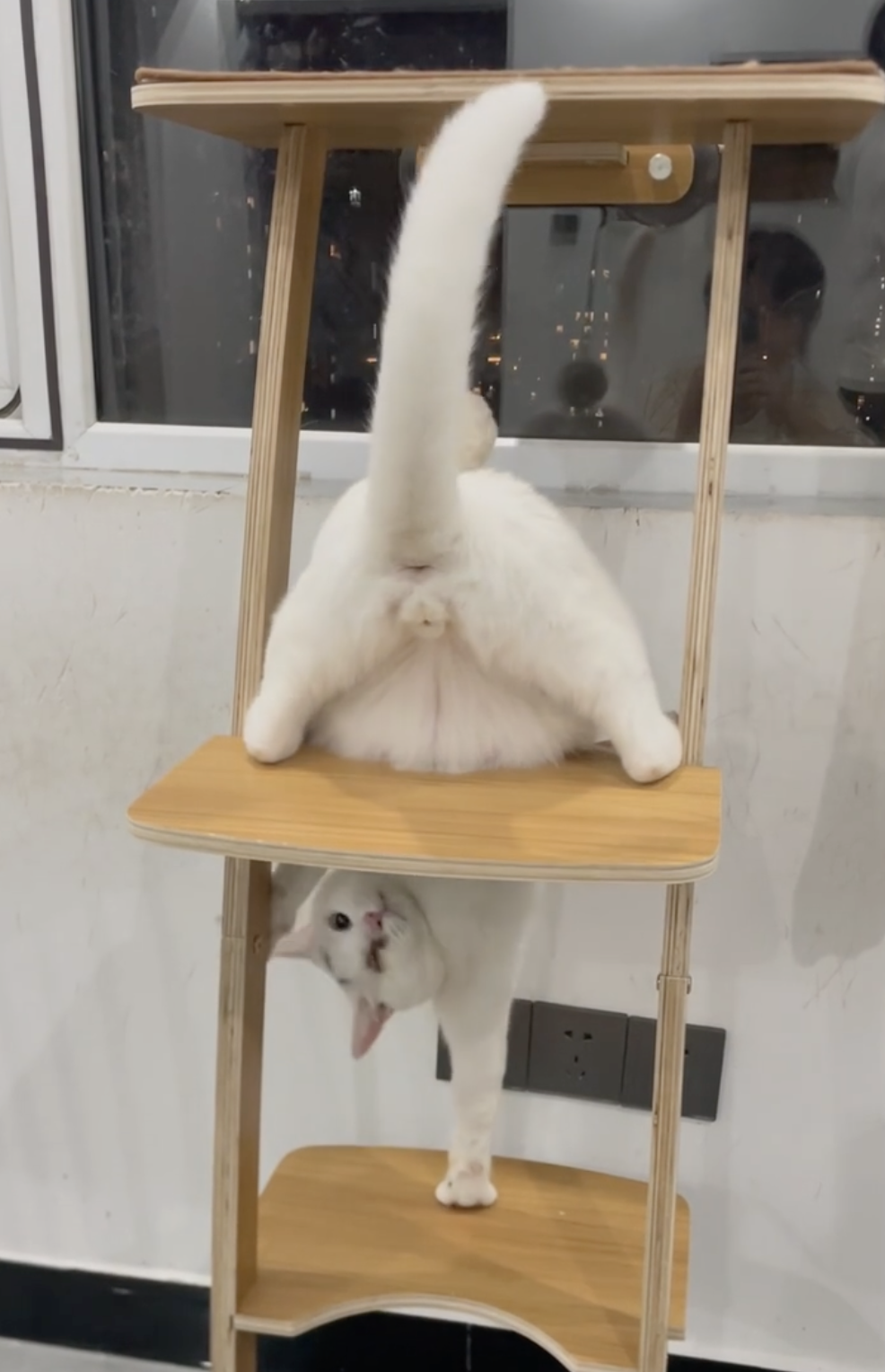 奴才:你是來搞笑的吧