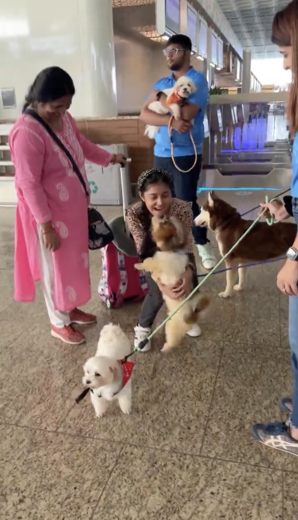 情緒支持犬的隊伍包含黃金獵犬、馬爾濟斯犬、西施犬、拉薩犬、拉布拉多犬以及哈士奇等多種犬種