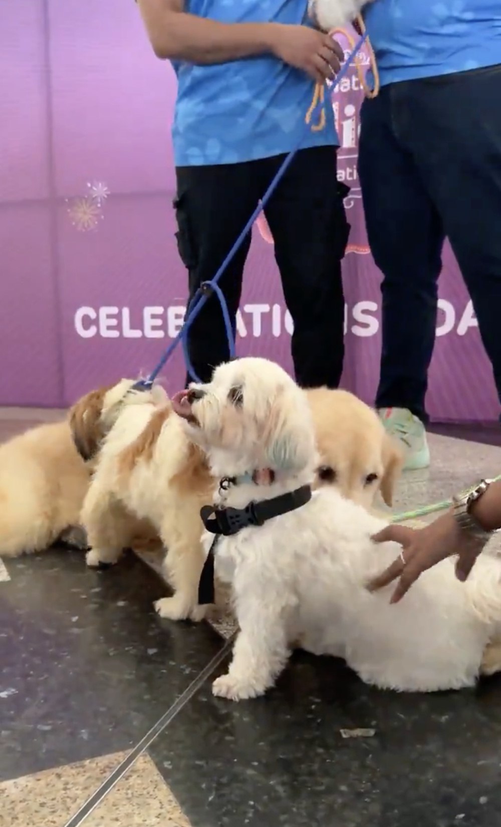 許多乘客和網友都表示十分喜愛這個貼心服務