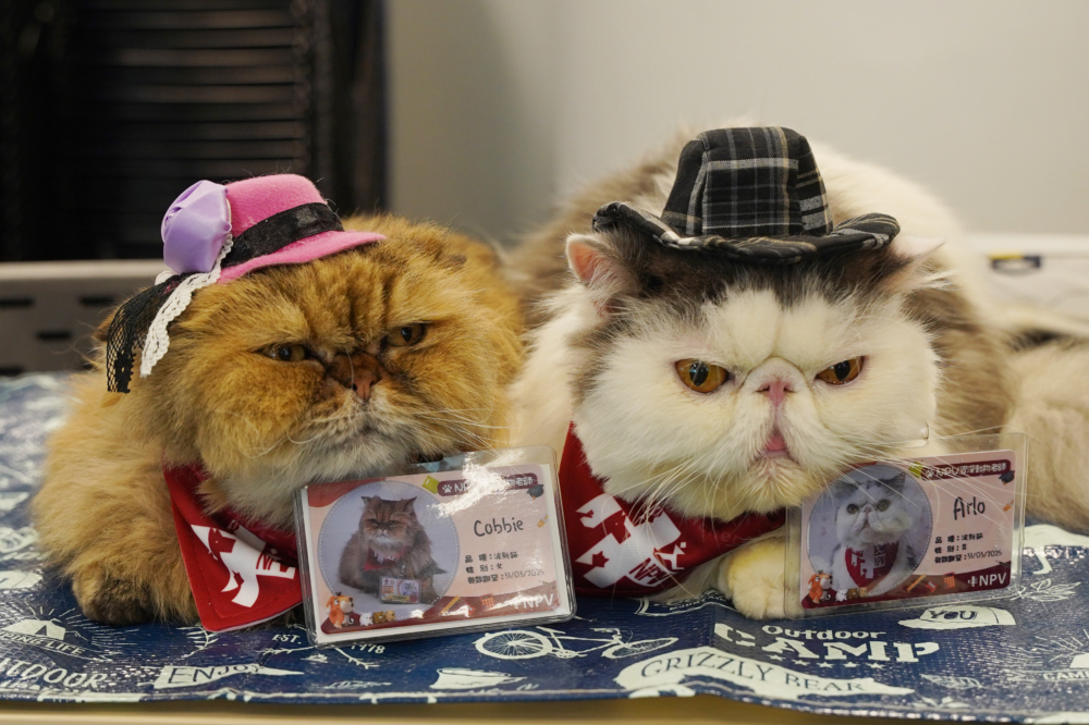 Arlo和Cobbie到校園與學生見面互動