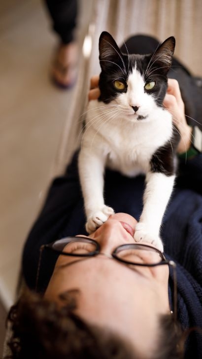 貓咪對於陌生人通常會保持距離，但若牠們願意靠近你的臉，甚至把小爪放在你的嘴巴上，這反映了牠對你的高度信任～