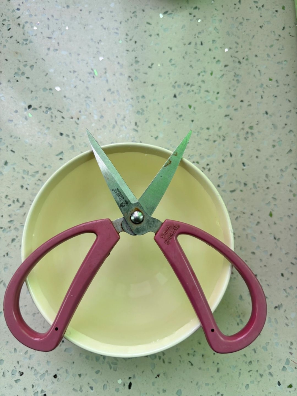 有些網友分享找貓「剪刀水盆法」等傳統儀式，雖然科學性存疑，但若能安定心情，也未嘗不可一試！