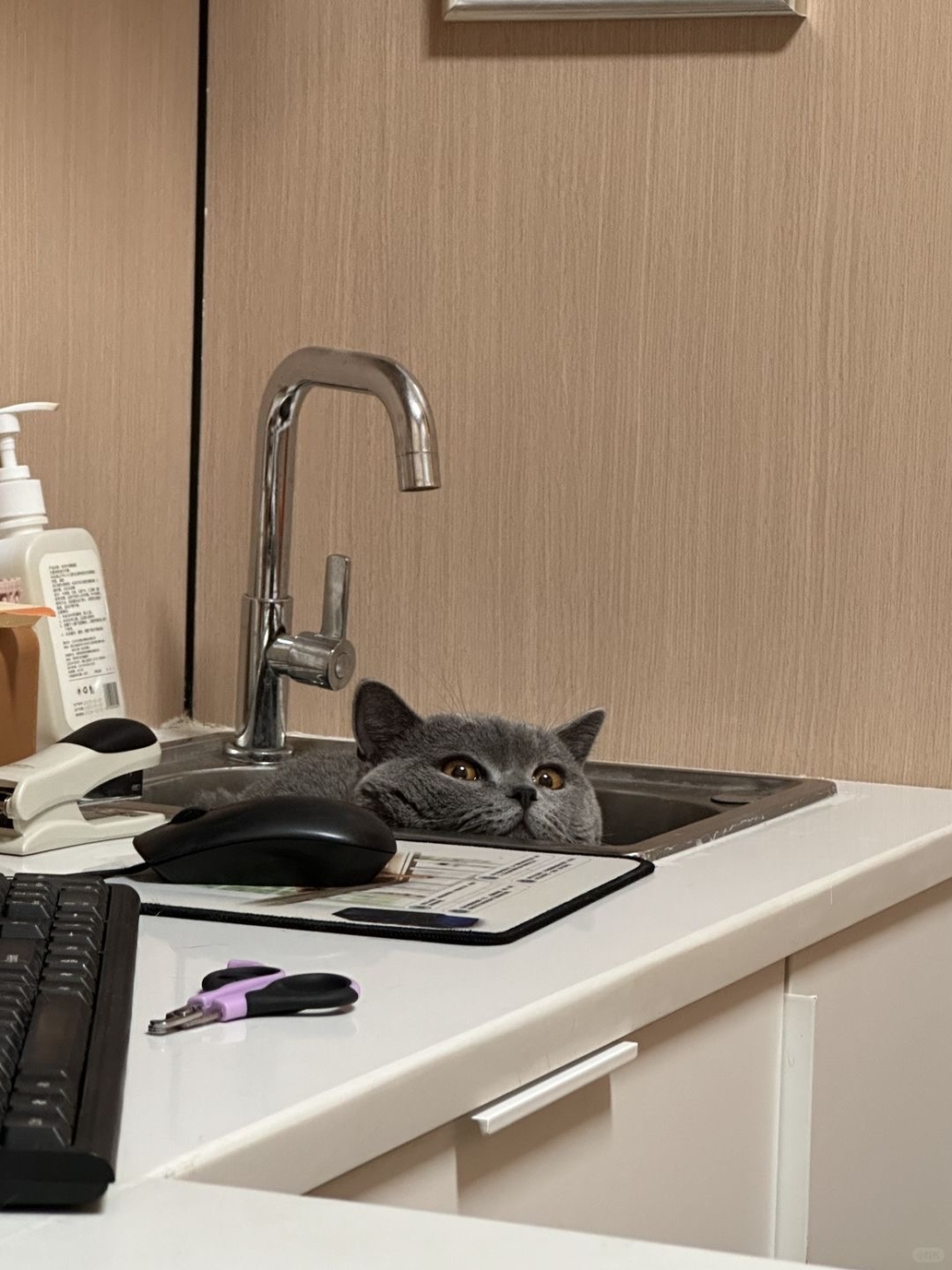 奴才：必須要定時檢查身體啊