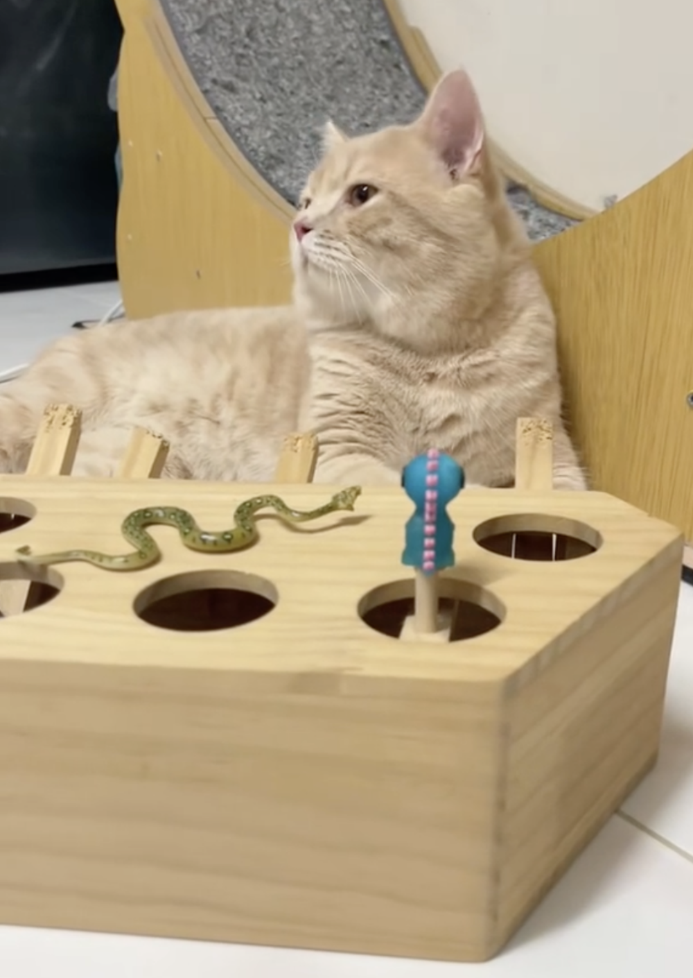 奴才:就是要買新玩具的意思囉