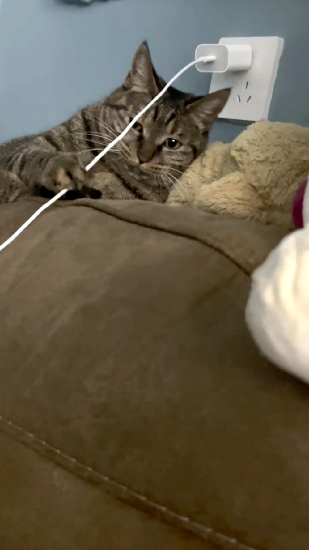 奴才：真的不是你嗎？