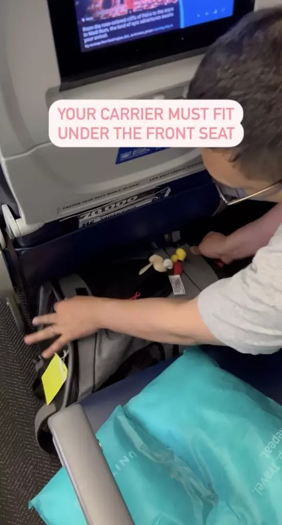 Dan提醒貓袋的呎吋必須能放在椅子底下。