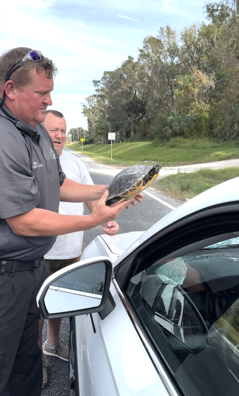 幸運的烏龜被帶回康復中心進行檢查後發現烏龜的殼沒有任何損傷,完全沒事!