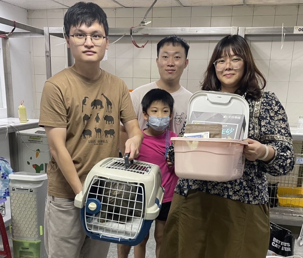 經過一段時間的療養，這隻波斯貓終於準備好迎接新生活，並於新店動物之家找到了願意給牠一個溫暖家的賴小姐，為其取名「小藍」！