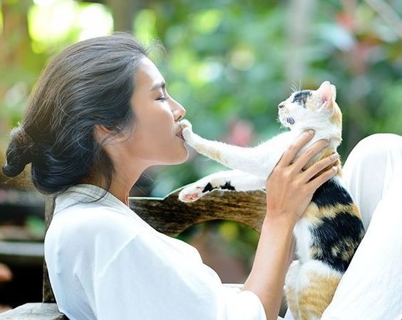 牠們會在你身邊發出愉悅的呼嚕聲，並輕輕拍打你的嘴巴，這種動作代表牠們在你身旁感到極度的舒適與滿足～