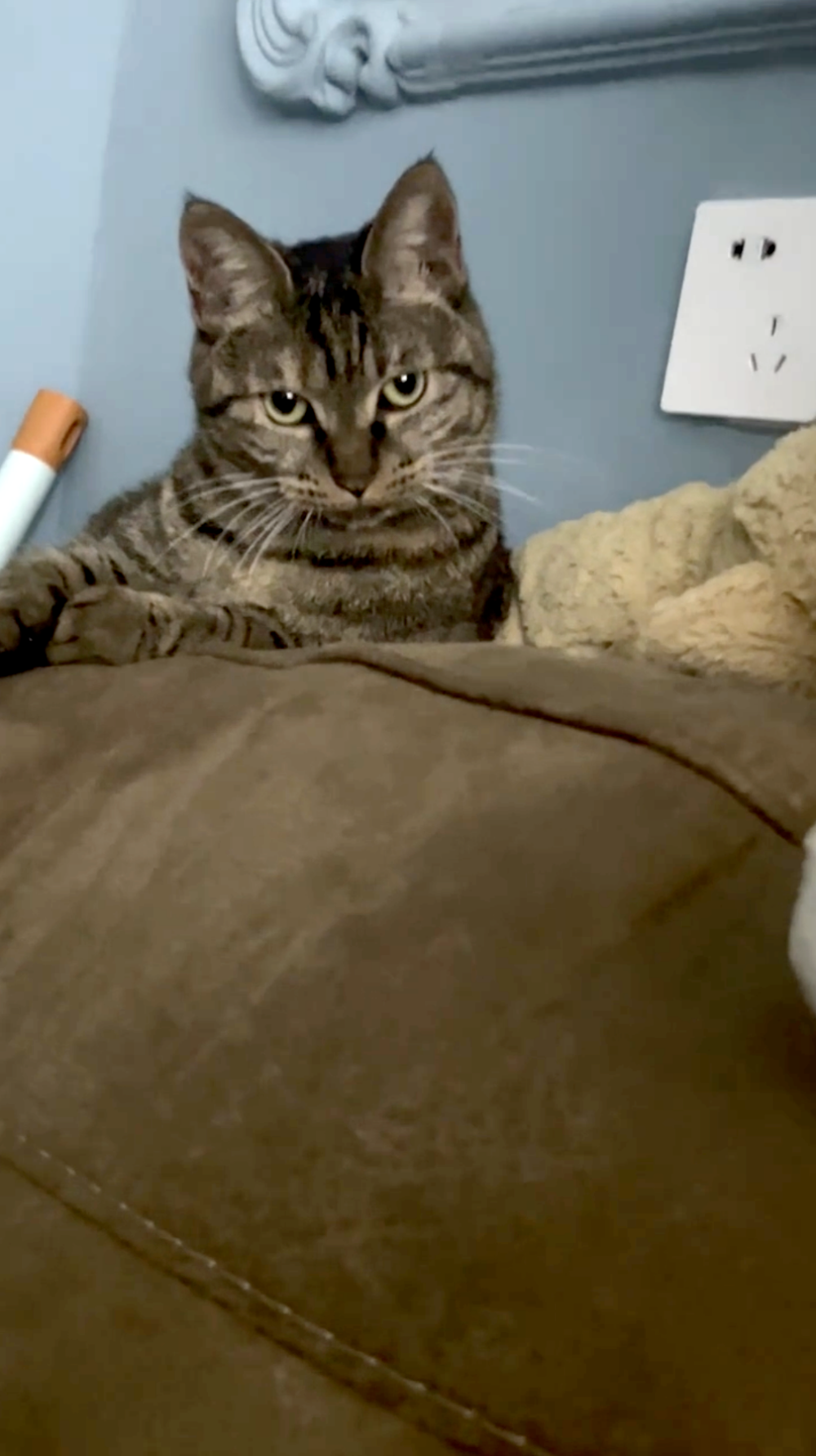 奴才：好啦～是我啦