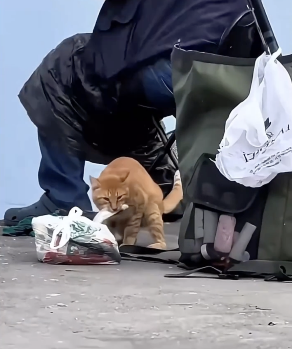 釣魚者還未發現...