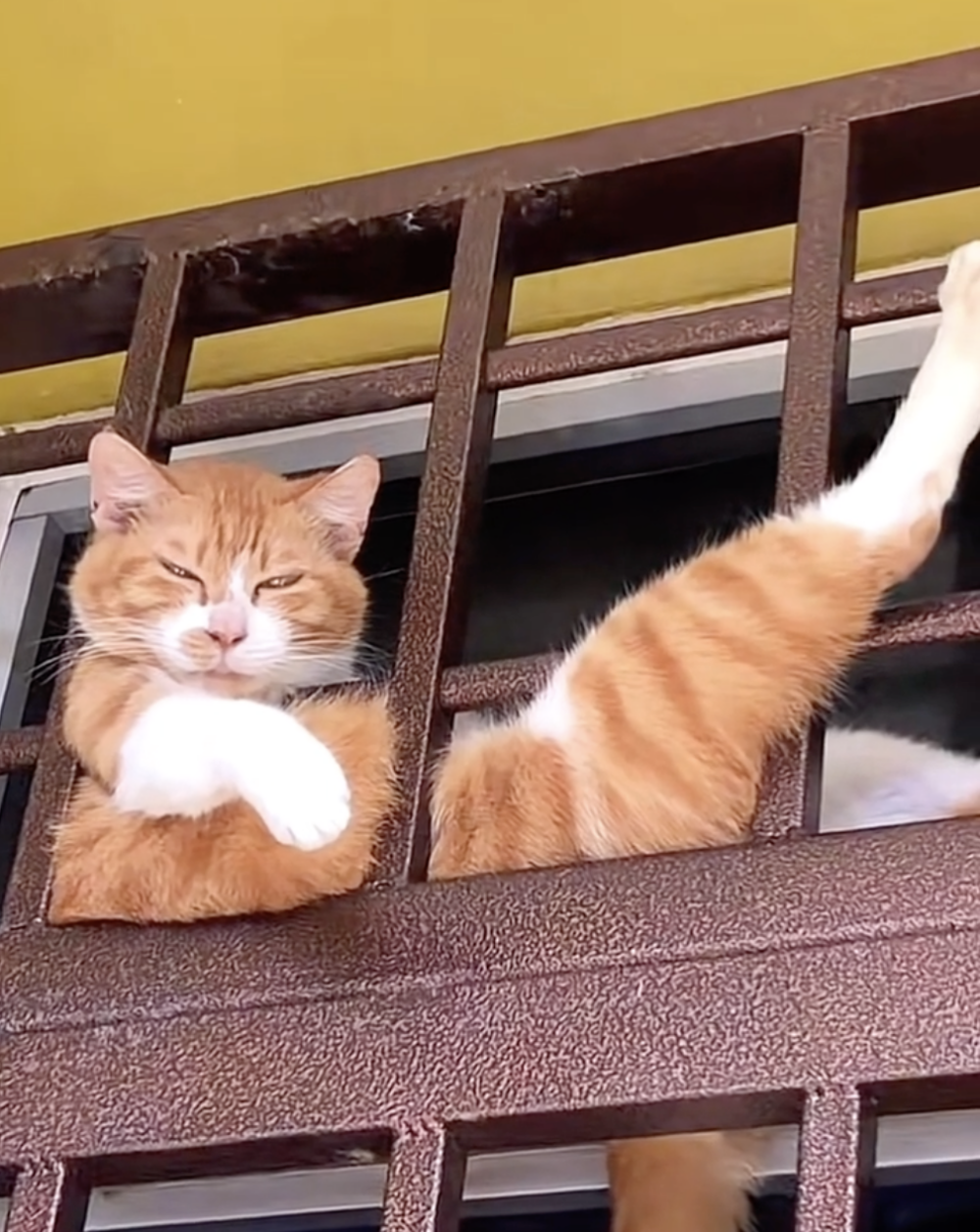 奴才：因為我害怕呀