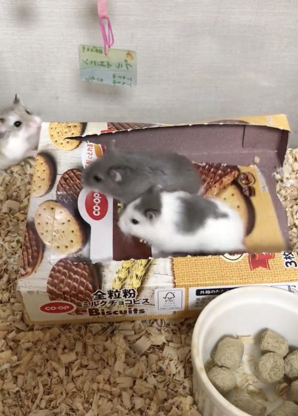 奴才：你太有梗啦