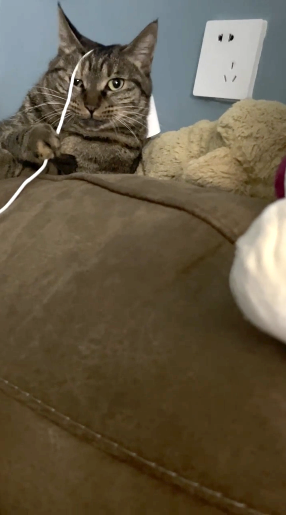 奴才：我可以說不是嗎