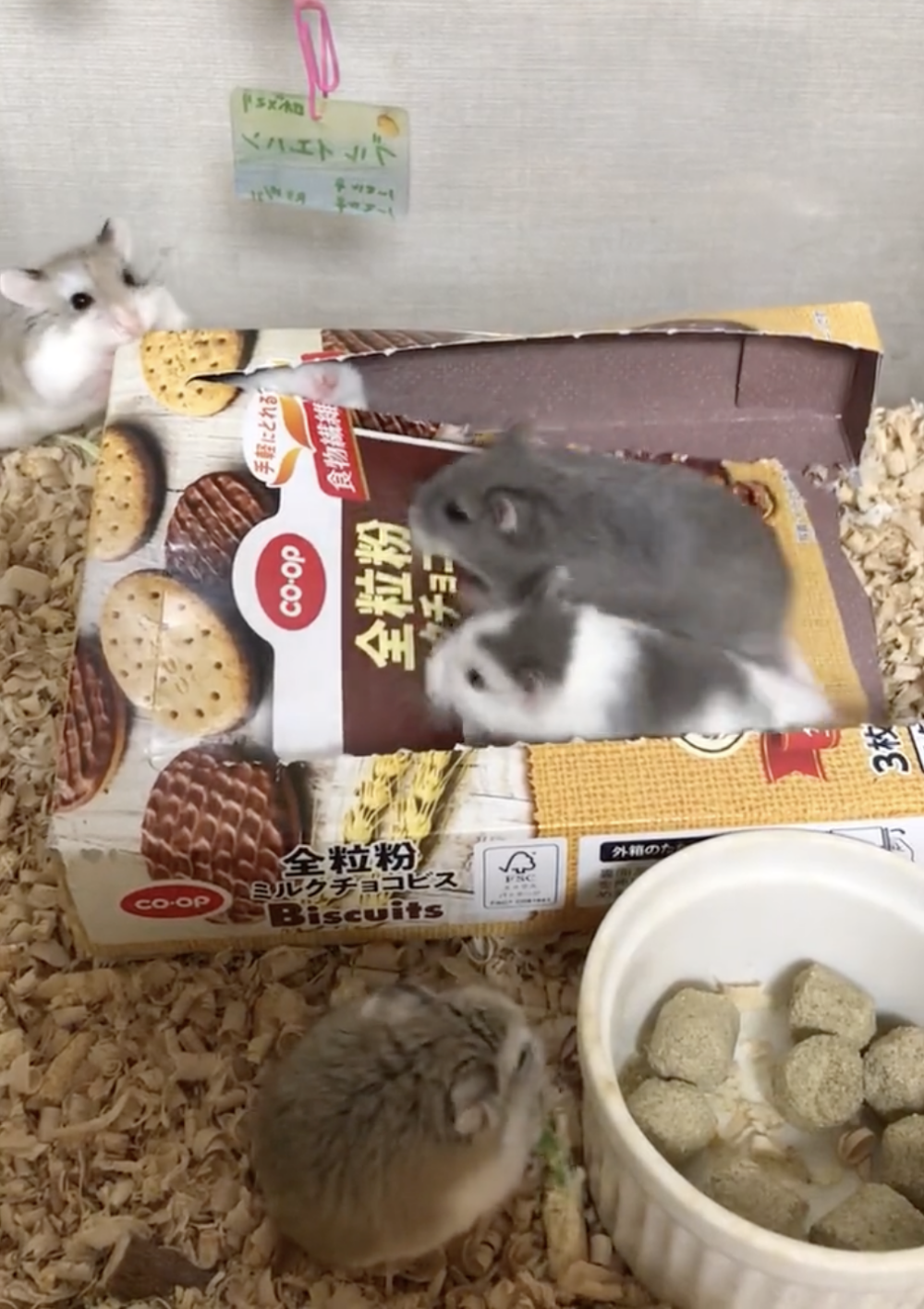 奴才：這樣才能保持健康呀