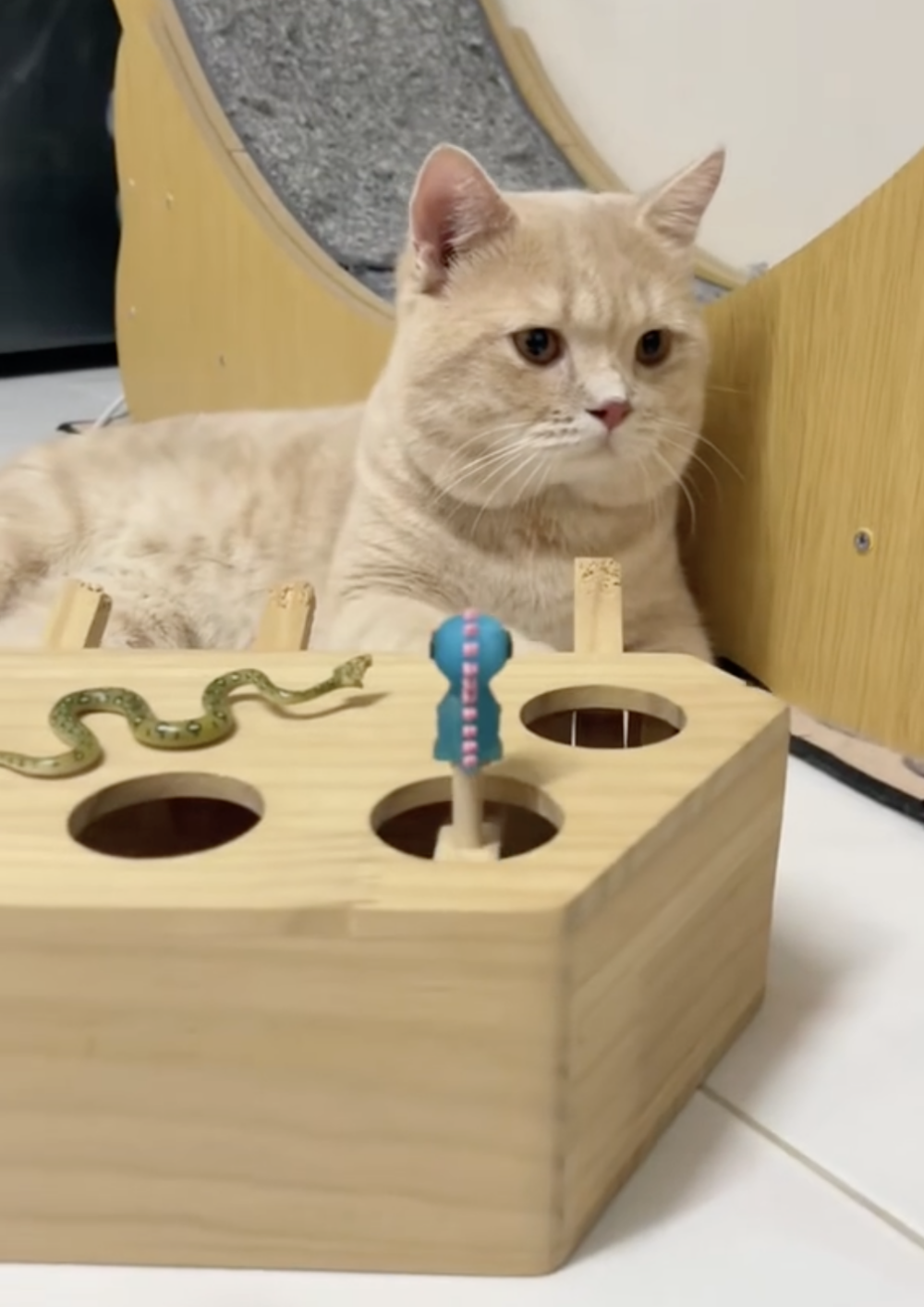 奴才:理由是什麼呢?