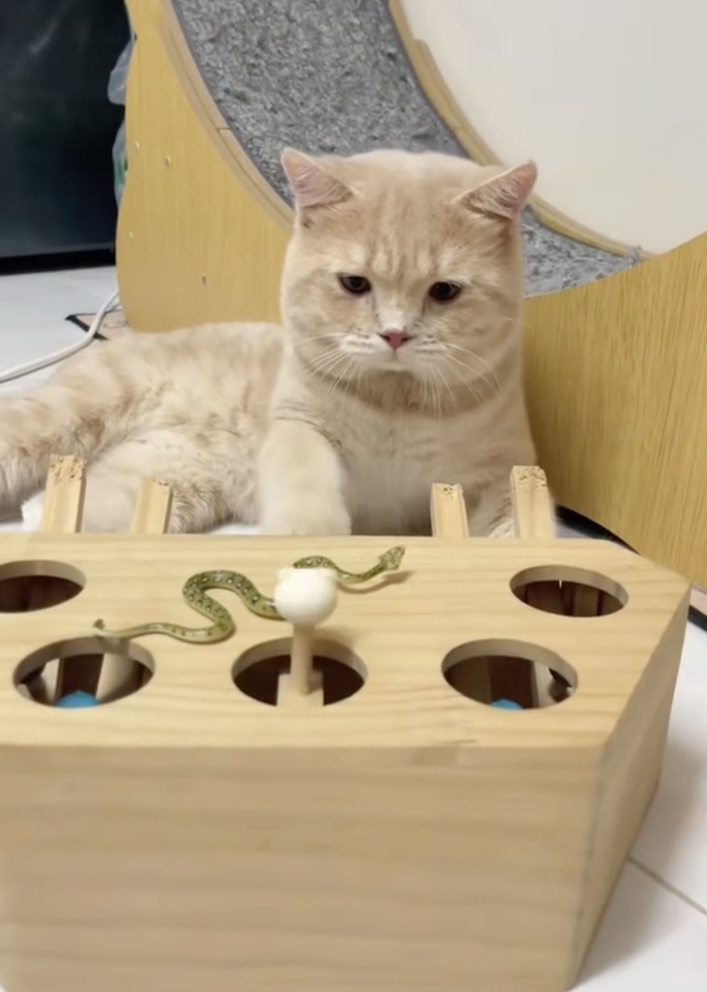 奴才:我看你之前還挺喜歡的呀