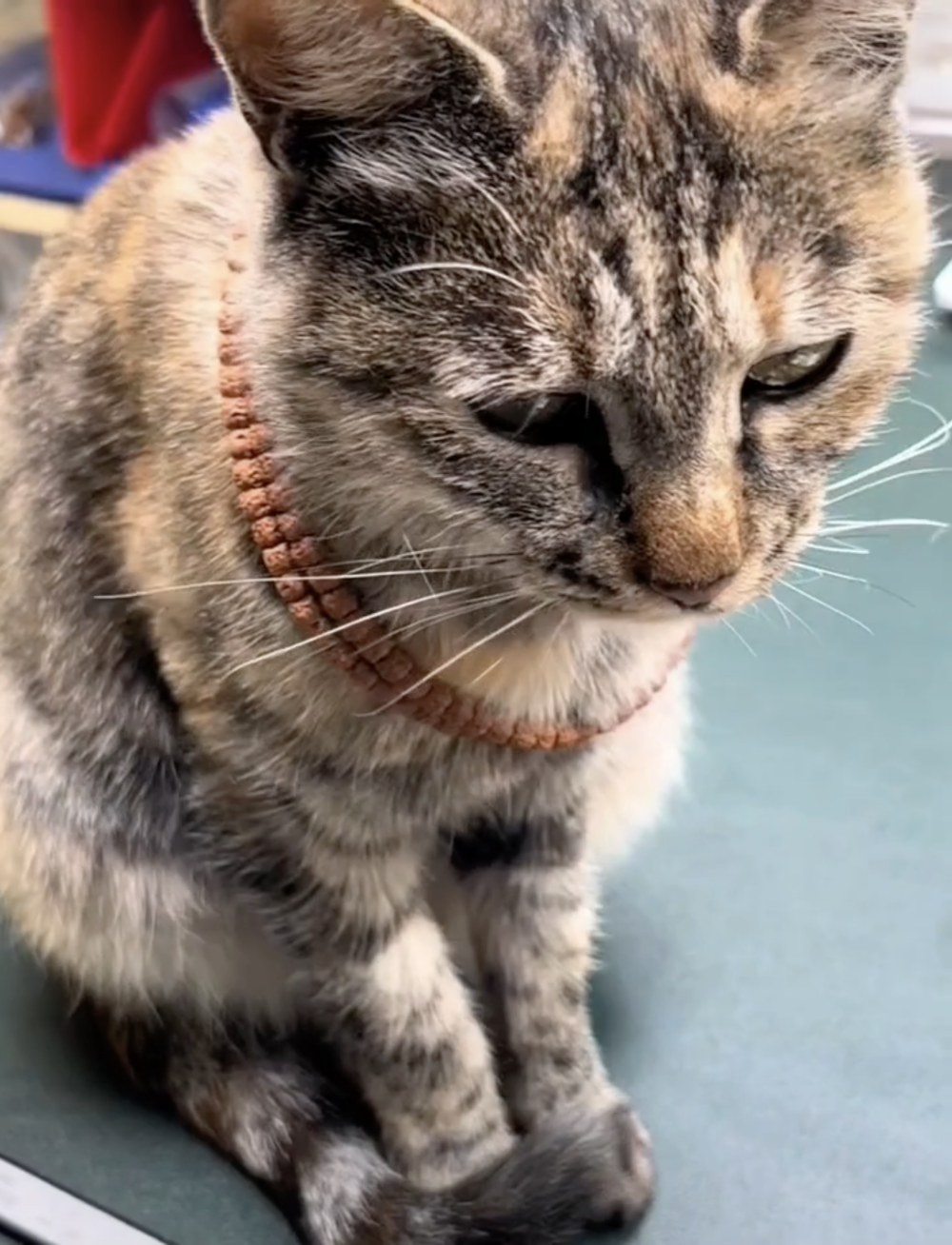 奴才：那今天工資加倍吧