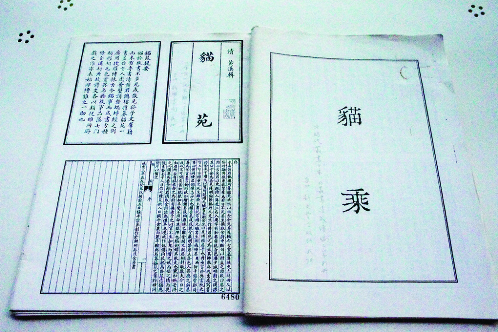 無論貓有主人還是流浪,都需要準備聘禮才算正式收編!