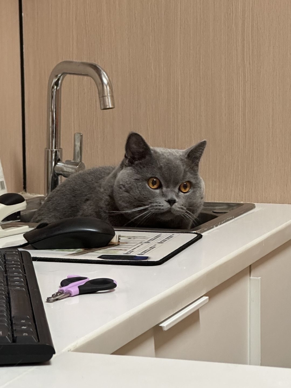 奴才：醫生不是壞人捏！