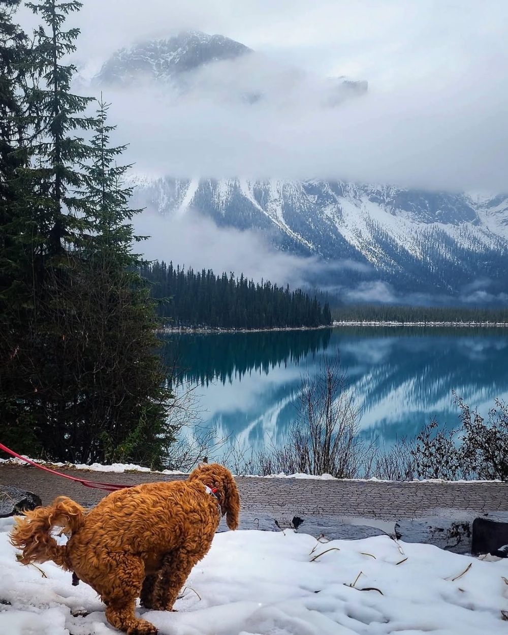 這本月曆不僅充滿趣味，還肩負慈善使命～每一本月曆售價12.99美元（約港幣101元/台幣490元），部分收益將捐贈給相關慈善機構