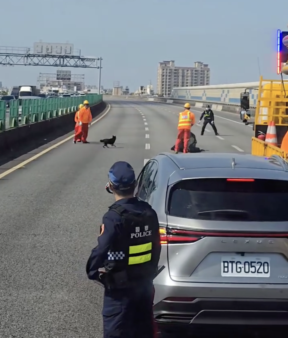 黑柴因受到驚嚇掙脫繫繩，直接衝出車外，開始在高速公路上狂奔！