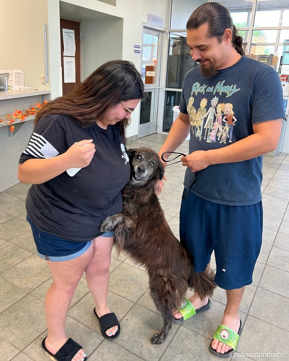 當初,可可因為意外跑出家門,穿越繁忙的高速公路,最後流浪到另一個社區並被好心人送往收容所~