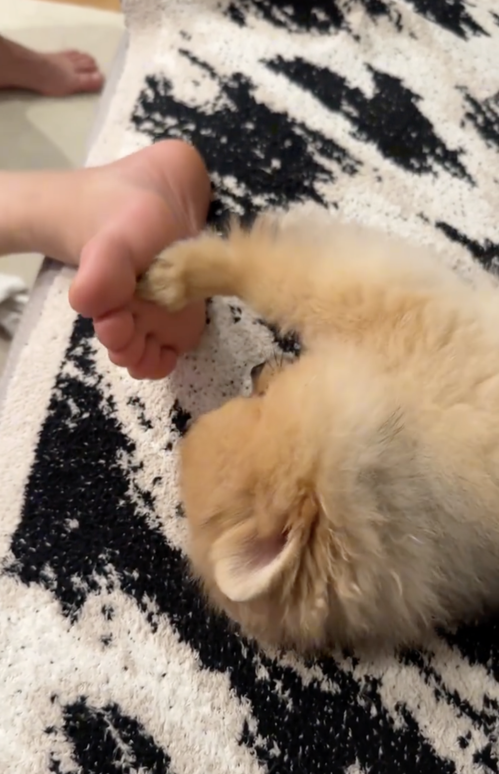 奴才：你嫌棄我！