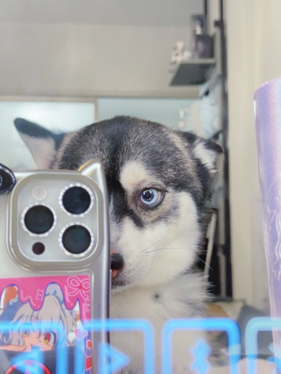 奴才：你覺得是就是囉