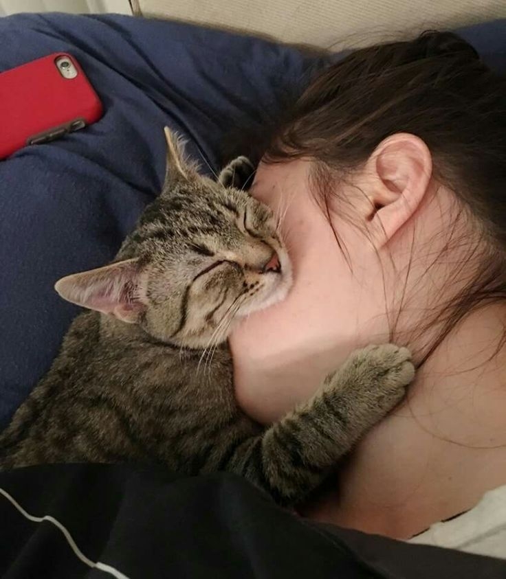 儘管貓咪天性獨立，但也別忽略了牠們依然渴望得到主人的關心和愛護～