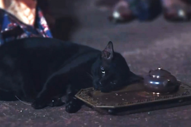 因劇中一場給貓喝下「加料」飲品的橋段引發巨大爭議！