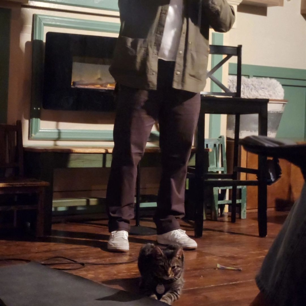 這場名為「Zoomies」的演出，最大的特色就是觀眾席中不僅有人類，還有數十隻待領養的救援貓咪自由穿梭其中，為這場演出增添了獨一無二的活力與混亂場面～