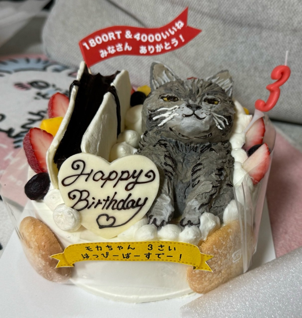 簡直是復刻版的「摩卡」！