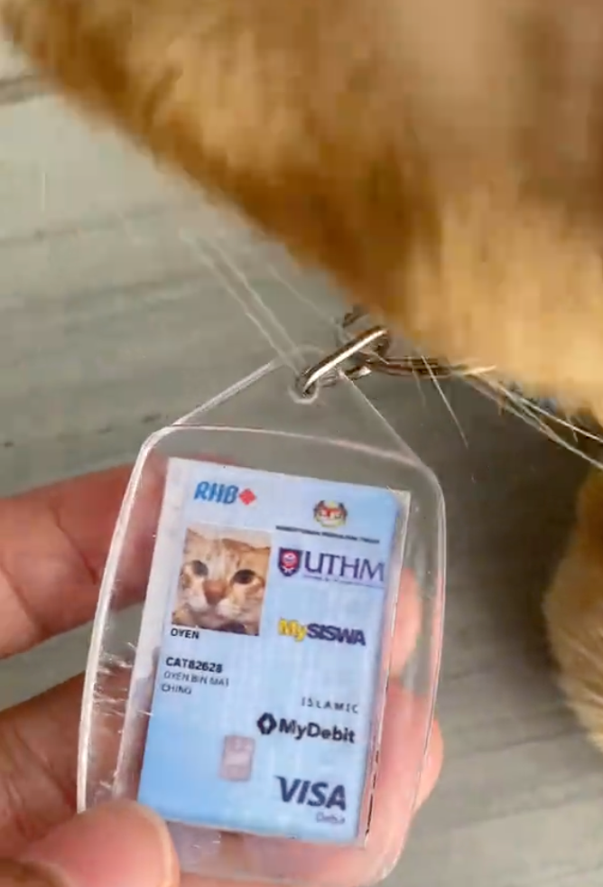 橘貓擁有學生證。