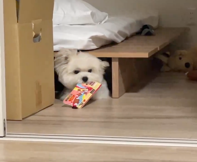 汪：朕中獎了捏！