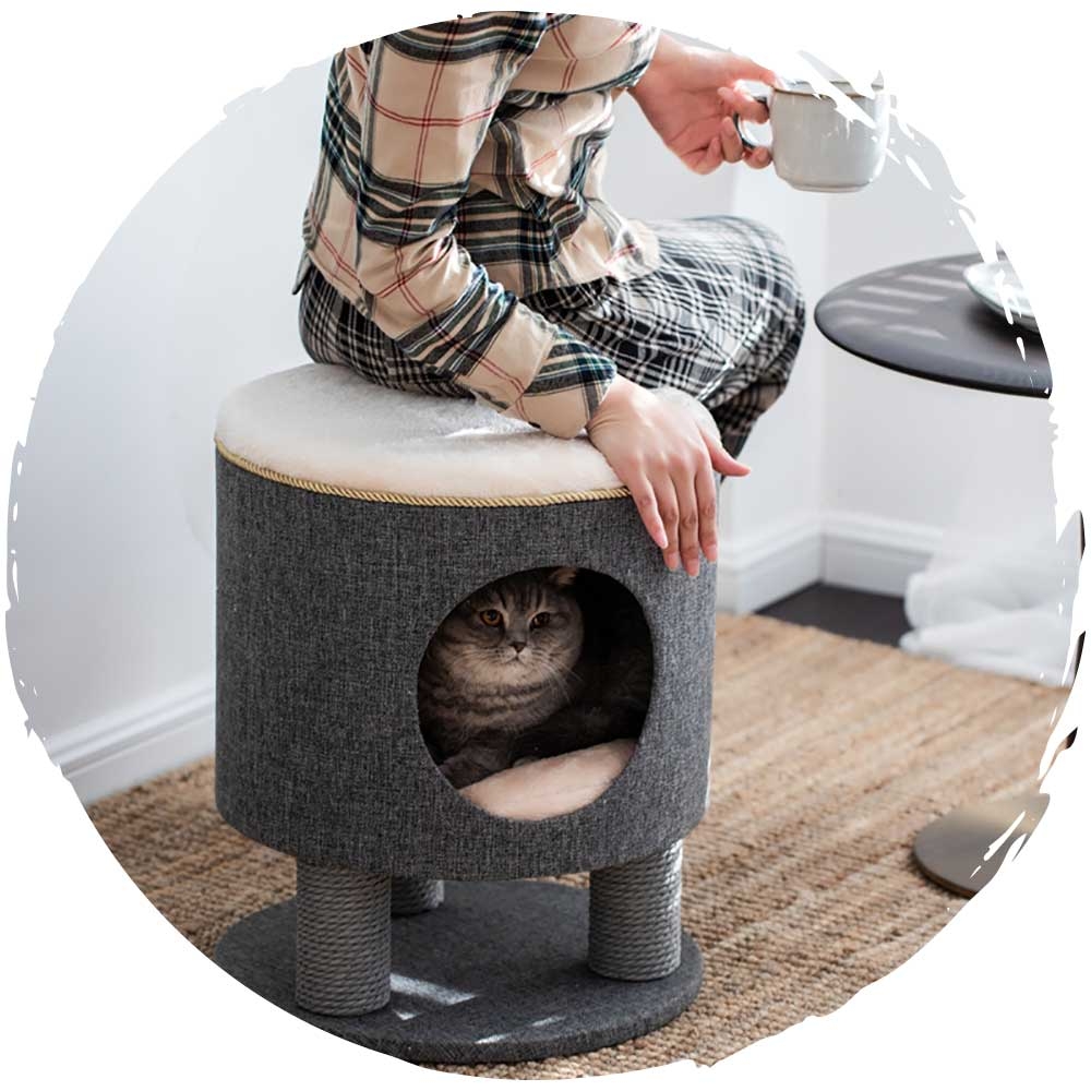 Catry人貓共用劍麻貓抓架可拆洗貓窩凳仔 HK$879
