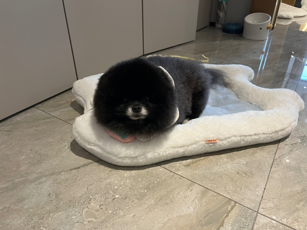 「少爺」累了啦～