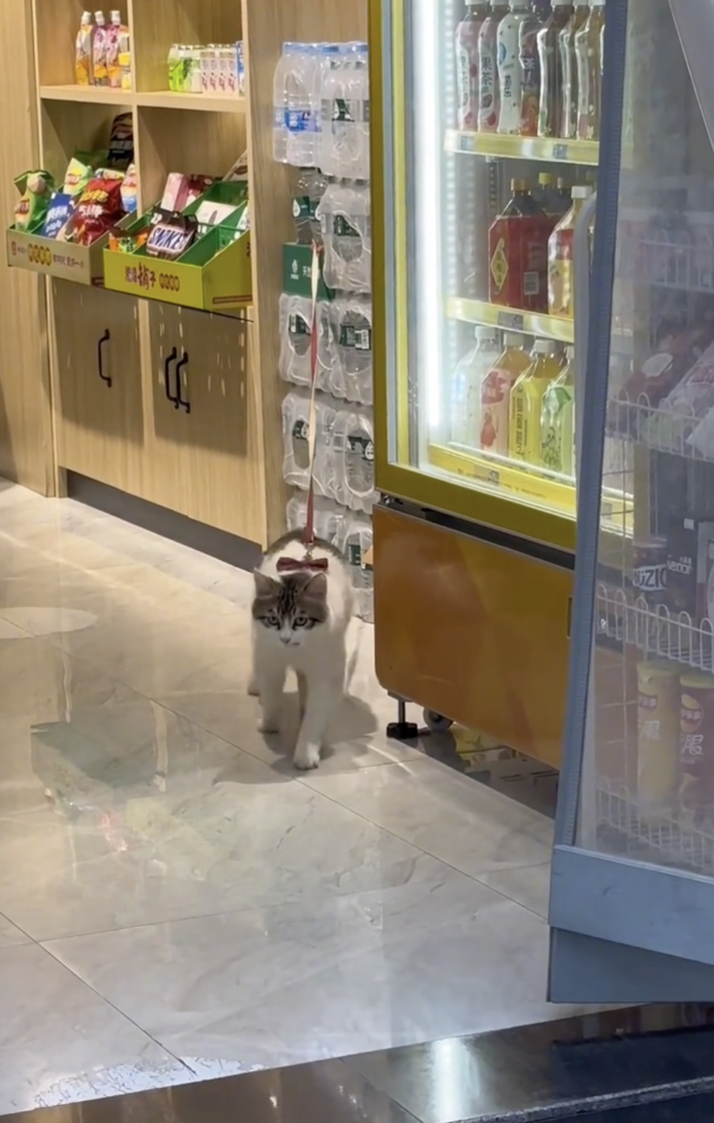 奴才：我也是為了安全考量啦