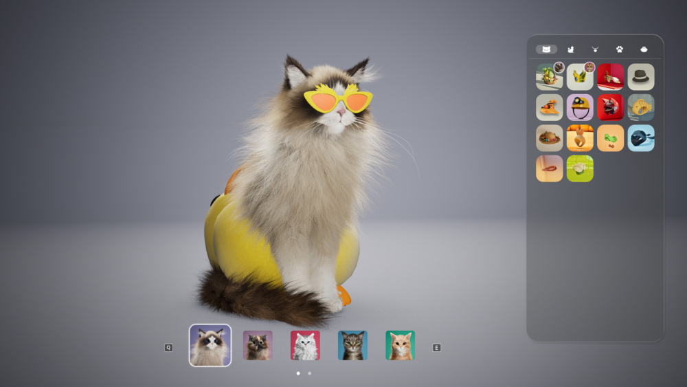 為貓咪戴墨鏡。