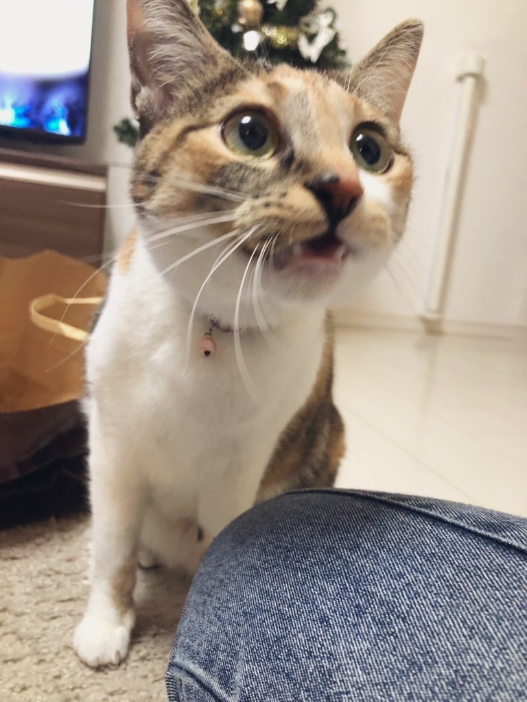 哇，天使媽媽真的超棒的！