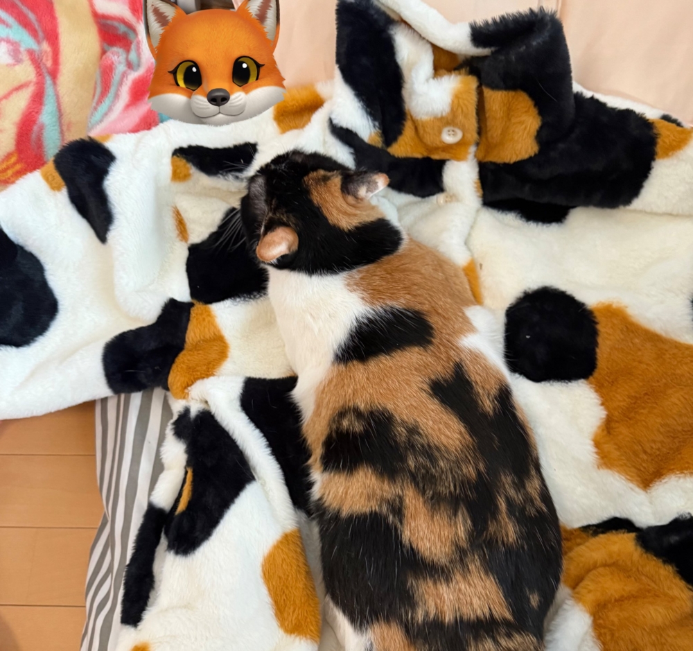 一個毛毯不夠，再加一件睡衣～