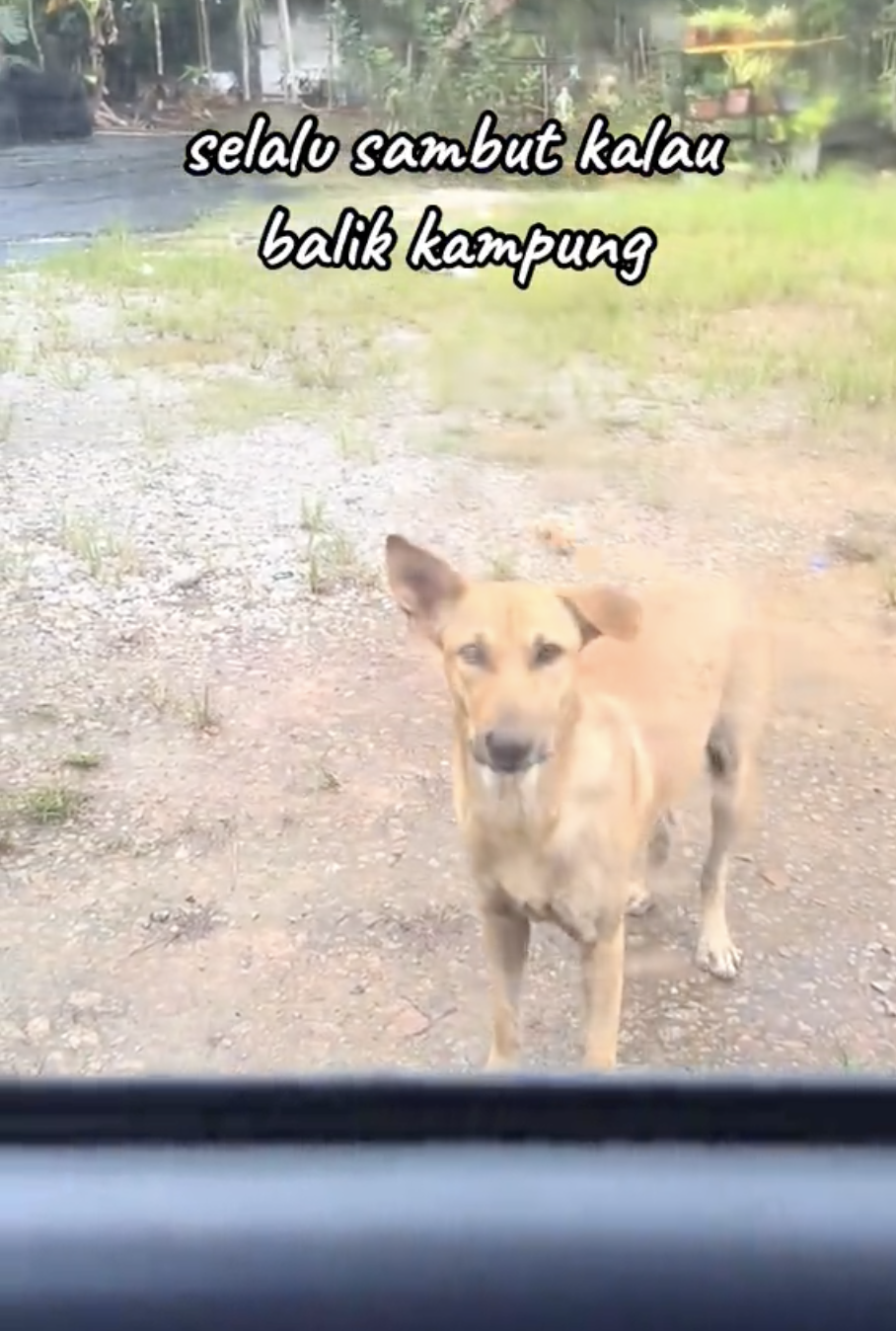 站在車外迎接男子的Gendut～