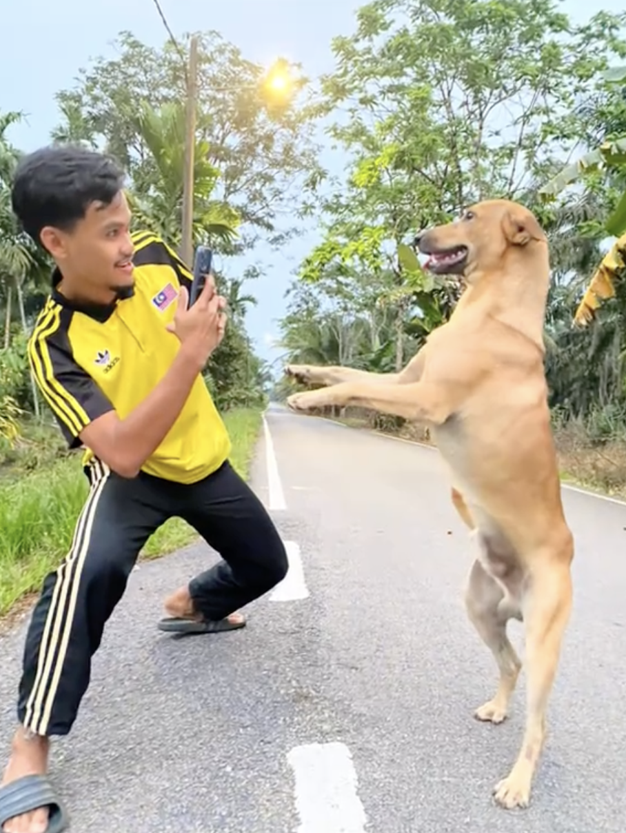 乖乖配合拍照的Gendut～