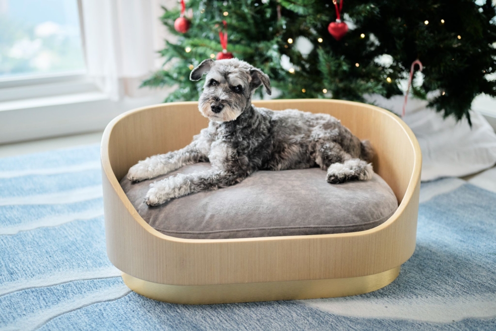 今個聖誕，為你摯愛的毛孩打造一個獨一無二的安樂窩。